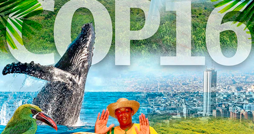 ¿Qué es la COP16 por qué es tan importante para Colombia? ¿Qué es la COP16 por qué es tan importante para Colombia?