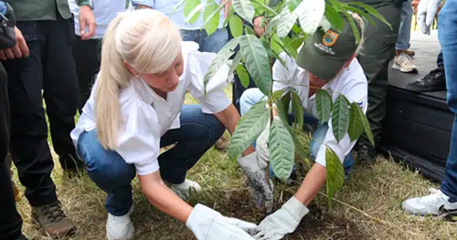 Jornadas para mitigar los efectos del cambio climático en el Valle