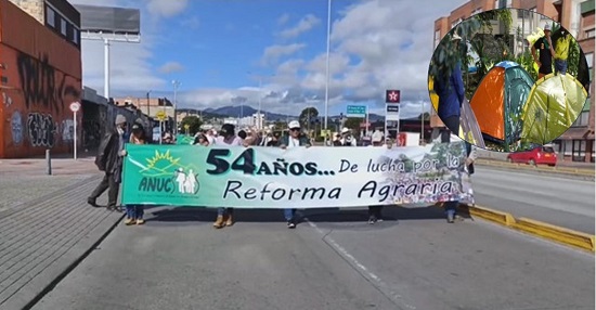 Continúa la marcha campesina en la capital de la República Continúa la marcha campesina en la capital de la República