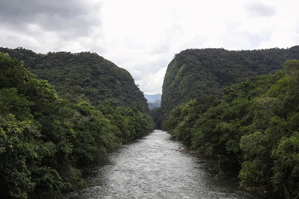El Cauca es líder en sostenibilidad ambiental