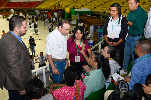Estrategias para crear empleo en Cali