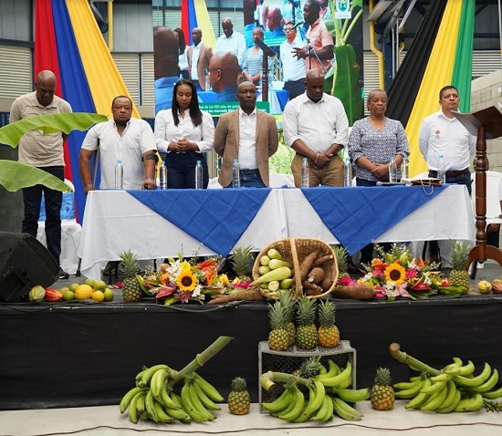 Inauguran Plaza de Mercado Elmer Abonía Rodríguez en Guachené Inauguran Plaza de Mercado Elmer Abonía Rodríguez en Guachené