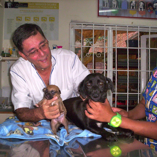 Un pionero en cuidado animal y música en Quilichao Un pionero en cuidado animal y música en Quilichao