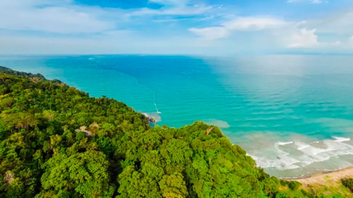 Unesco declara el Darién como Reserva de Biósfera Colombia celebra la declaratoria de UNESCO de la séptima Reserva de Biosfera en Colombia: el Darién Norte Chocoano