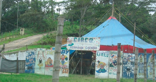 Los circos pobres se están muriendo Los circos pobres se están muriendo
