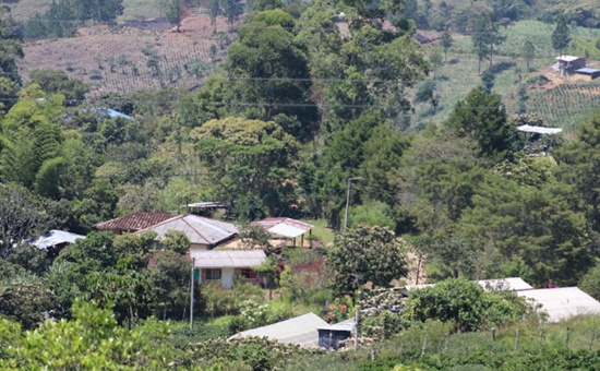 Advierten sobre venta de terrenos no aptos para construcción en Popayán. Advierten sobre venta de terrenos no aptos para construcción en Popayán.
