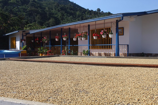 Afianzan alianzas en pro de la sostenibilidad y sustentabilidad empresarial desde Risaralda, Caldas. Afianzan alianzas en pro de la sostenibilidad y sustentabilidad empresarial desde Risaralda, Caldas.
