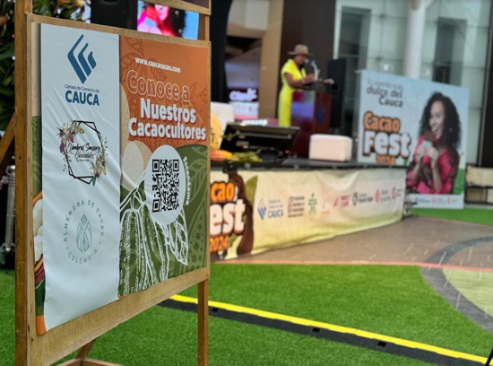 Cacao Fest 2024: Éxito en la promoción del cacao caucano y su diversificación económica. Cacao Fest 2024: Éxito en la promoción del cacao caucano y su diversificación económica.