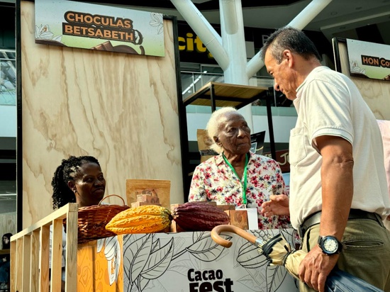 Cacao Fest 2024: Éxito en la promoción del cacao caucano y su diversificación económica. Cacao Fest 2024: Éxito en la promoción del cacao caucano y su diversificación económica.