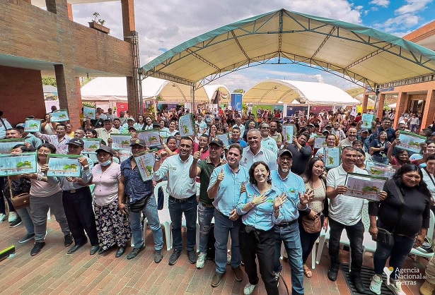 Café del Cauca le sigue ganando la lucha a cultivos ilícitos Café del Cauca le sigue ganando la lucha a cultivos ilícitos