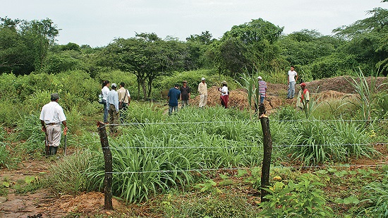 Gobierno de Colombia entrega tierras a campesinos