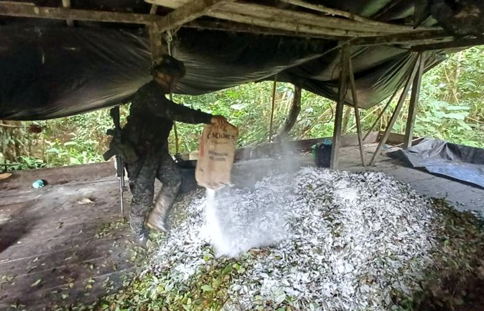 NEUTRALIZACIÓN DE LABORATORIOS DE COCAÍNA Y RESTAURACIÓN AMBIENTAL