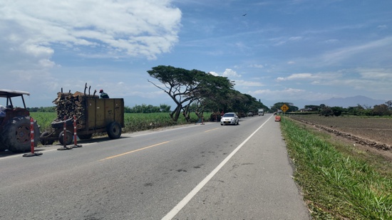 Tala de samanes desata furia antes de la COP16