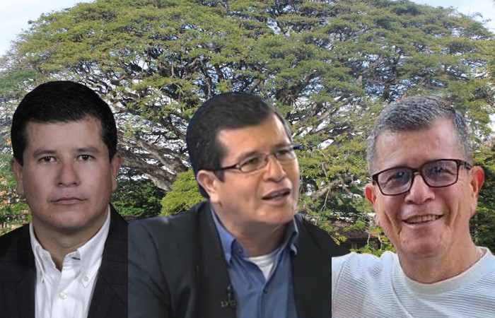 … más viejo, más tranquilo y canoso.