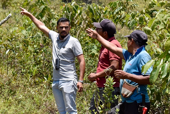 Agua, saneamiento y reforestación se da en la región de la mano de Emcaservicios. Agua, saneamiento y reforestación se da en la región de la mano de Emcaservicios.