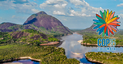 COP16: DOS RECORDERIS NECESARIOS