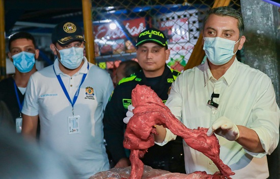 Decomisan en Popayán carne transportada en una motocicleta. Decomisan en Popayán carne transportada en una motocicleta.