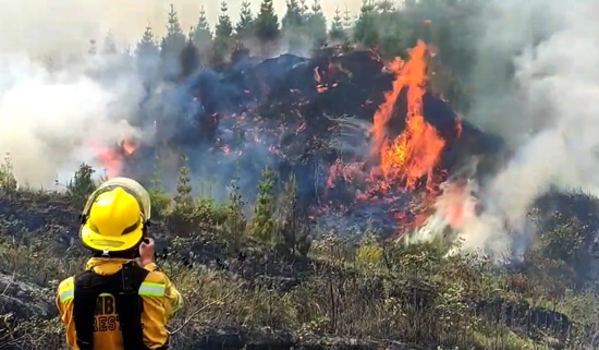 Incendios forestales no dan tregua en septiembre.