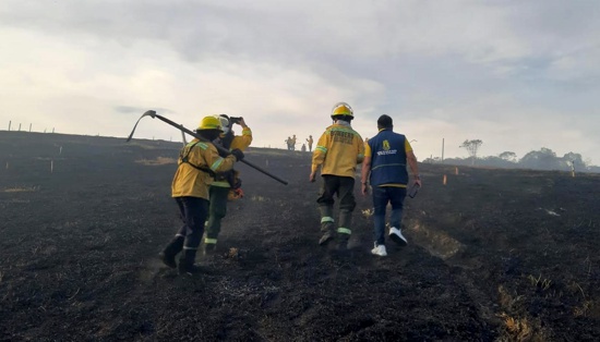 Incendios forestales no dan tregua en septiembre