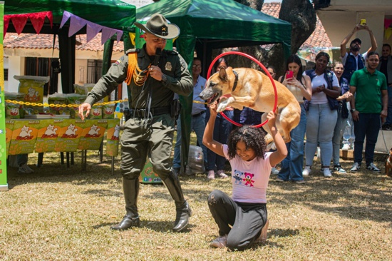 Festival Jamundeño del Animal de Compañía Festival Jamundeño del Animal de Compañía