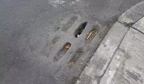Nada que entregan restos del humedal de Ciudad Jardín en Popayán Nada que entregan restos del humedal de Ciudad Jardín en Popayán