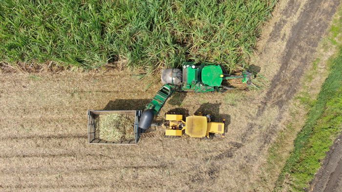 Agroindustria de la caña anuncia gran corredor biodiverso en el río Cauca Agroindustria de la caña anuncia gran corredor biodiverso en el río Cauca