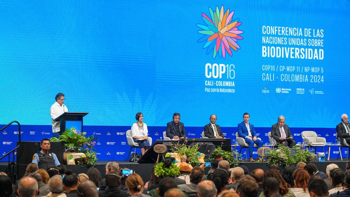 Quisimos que el pueblo se tomara la COP