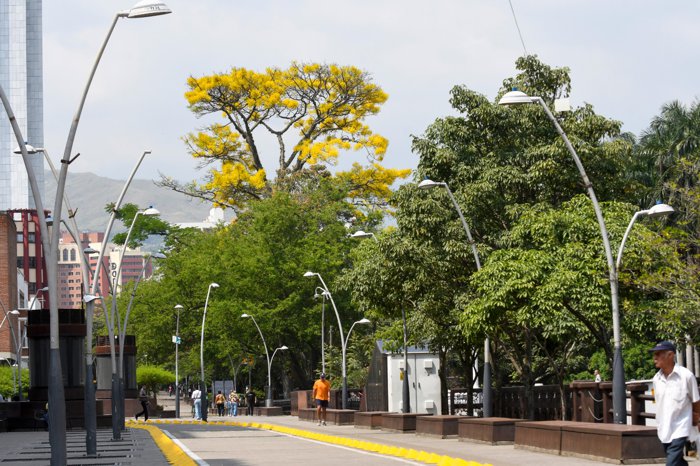 Capital Mundial de la Biodiversidad