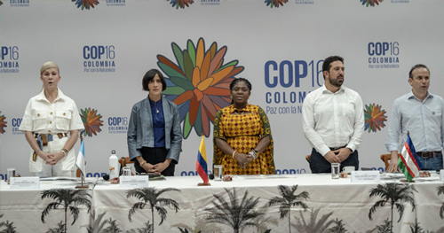 Colombia a la altura de la COP 16 Colombia a la altura de la COP 16