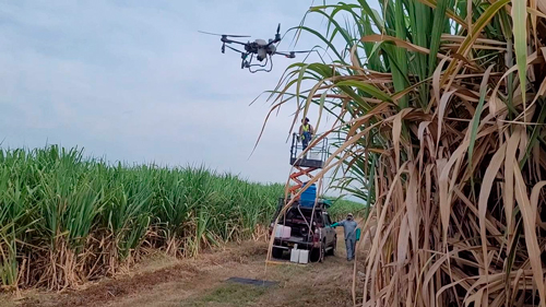 Drones para mejorar riego en cultivos de caña