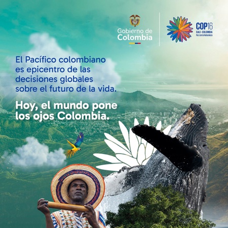 Inició la COP16 de la gente en Cali Inició la COP16 de la gente en Cali