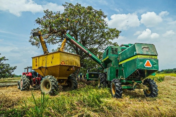 Insumos e infraestructura para la soberanía alimentaria Nasa