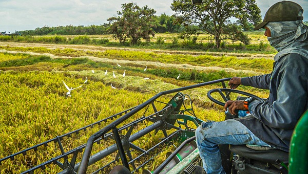 Insumos e infraestructura para la soberanía alimentaria Nasa