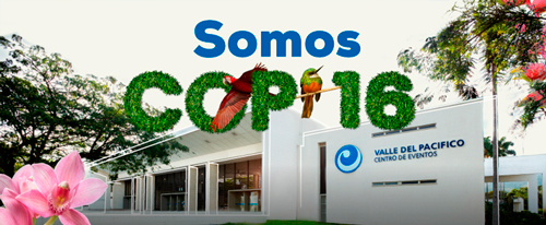La COP 16 también beneficia al Cauca La COP 16 también beneficia al Cauca