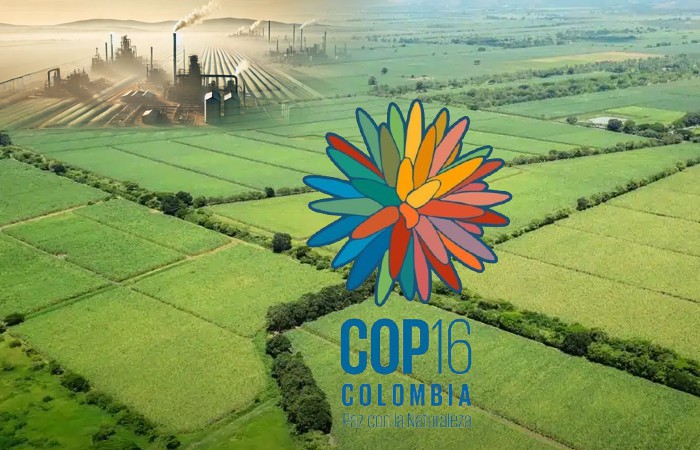 PAZ CON LA NATURALEZA Y LOS REDUCCIONISMOS MEDIÁTICOS PAZ CON LA NATURALEZA Y LOS REDUCCIONISMOS MEDIÁTICOS
