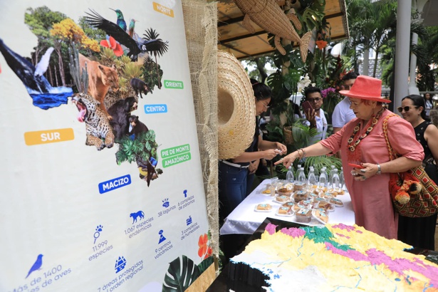 Primer Museo Vivo del Agua de América Latina se construirá en el Cauca.
