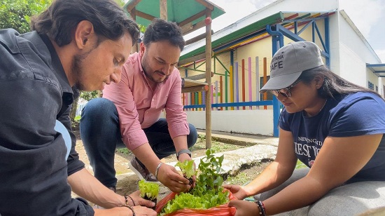 Secretaría DAFE impulsa proyecto de huerta hidropónica en centro penitenciario. Secretaría DAFE impulsa proyecto de huerta hidropónica en centro penitenciario.