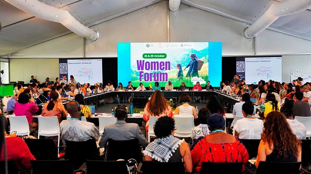 Vicepresidenta lideró el Foro de Mujeres en la COP16