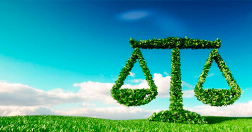El Cauca: Un llamado al equilibrio entre economía y ecología El Cauca: Un llamado al equilibrio entre economía y ecología