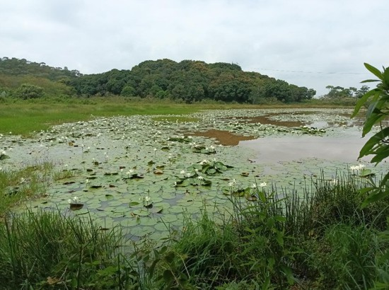 Monte Japio y la COP16