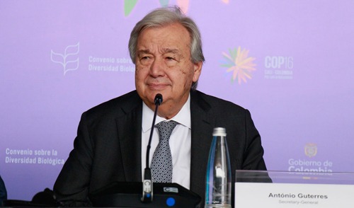 ONU apoya plan de compra de hoja de coca del gobierno Petro