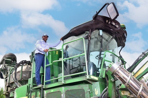 La cosecha de Incauca es 100% mecanizada y no realiza quemas La cosecha de Incauca es 100% mecanizada y no realiza quemas
