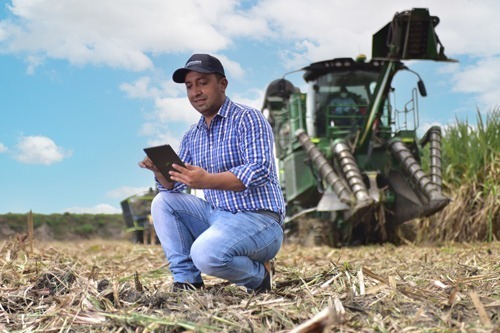La cosecha de Incauca es 100% mecanizada y no realiza quemas La cosecha de Incauca es 100% mecanizada y no realiza quemas