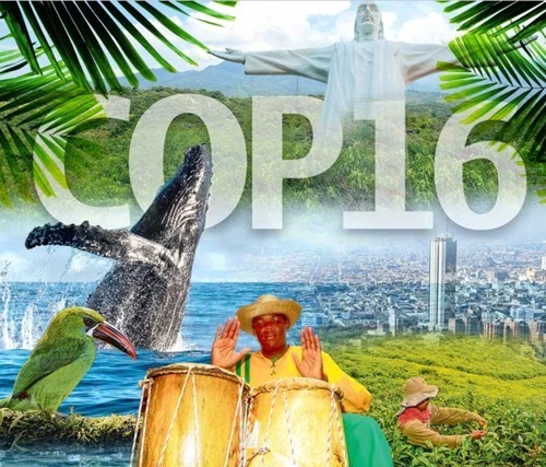 Lo que nos dejó la COP16 Lo que nos dejó la COP16