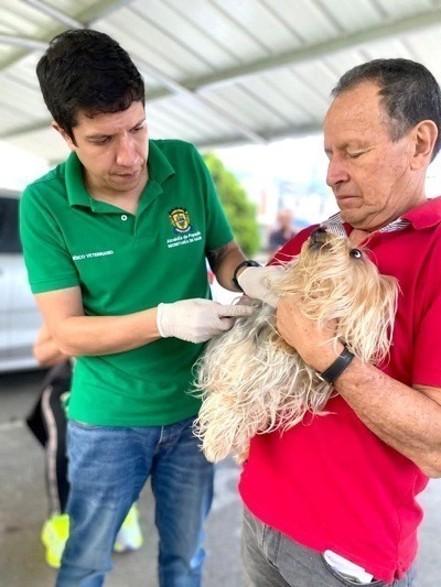 Bienestar para los peluditos de Popayán