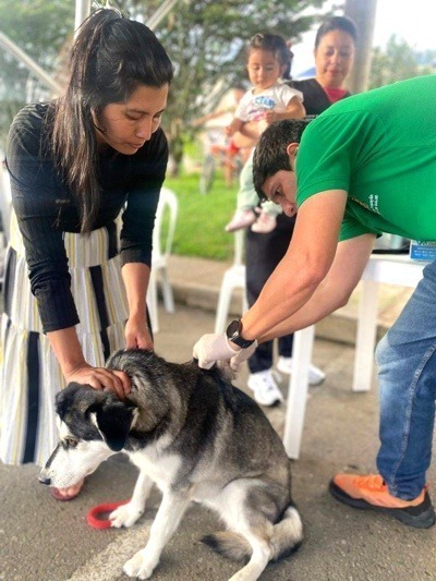 Bienestar para los peluditos de Popayán