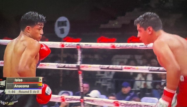 El payanés que conquistó el título mundial de boxeo - Juan David Anacona Fajardo El payanés que conquistó el título mundial de boxeo - Juan David Anacona Fajardo