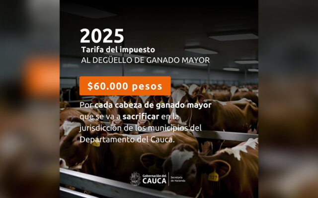 Cauca actualiza tarifas de impuestos vehiculares y de degüello