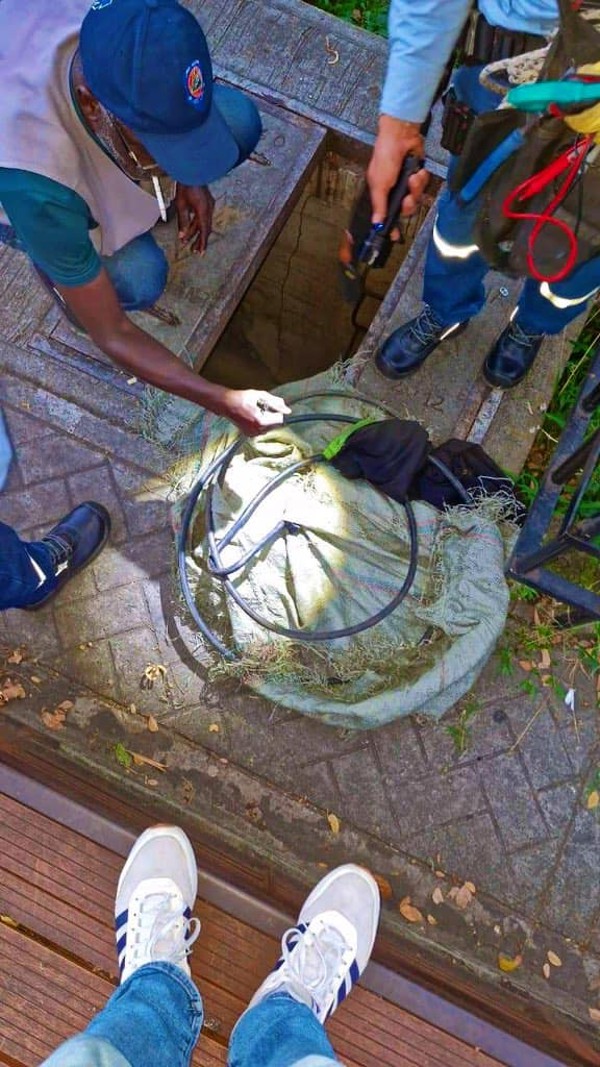 Capturan a hombres por robo de cable en Cali Capturan a hombres por robo de cable en Cali