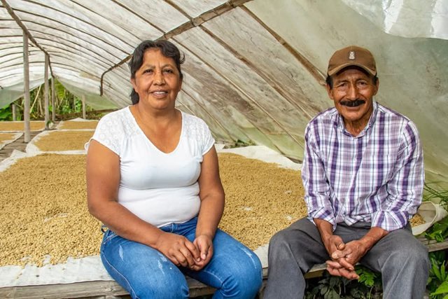 El café del Cauca conquista mercados en Europa El café del Cauca conquista mercados en Europa